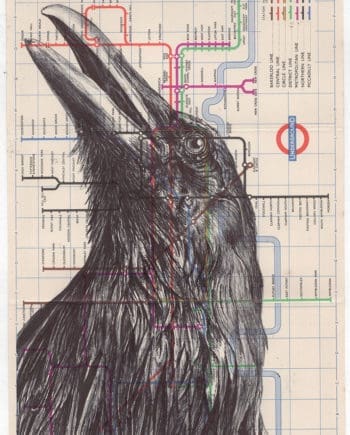 the underground