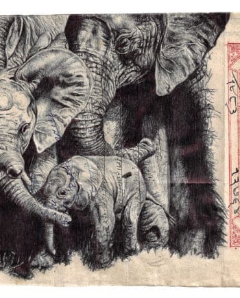 family tree